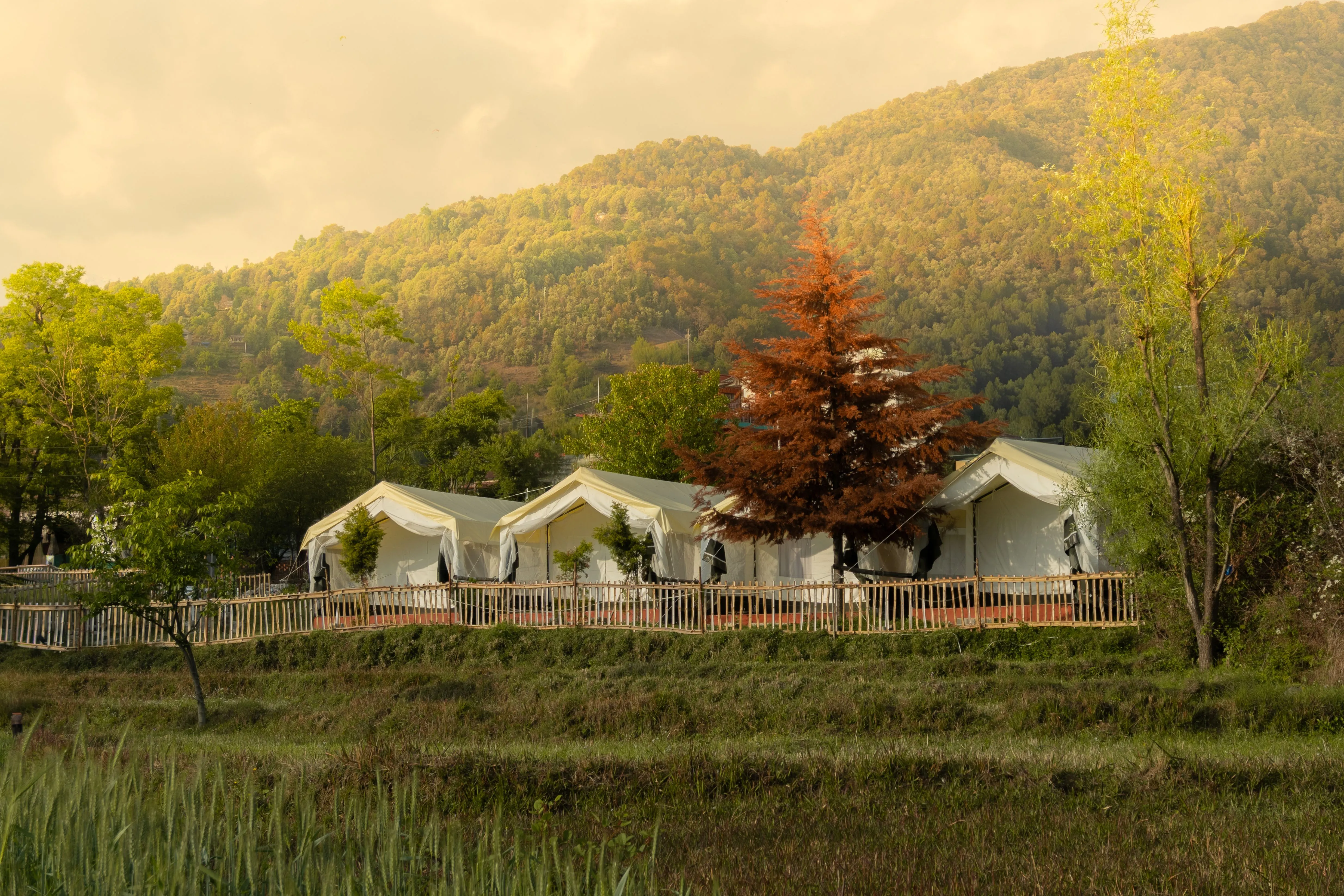 Camp Site